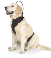 Calmer-Canine-1@2x.png
