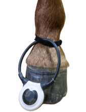 EquiLoop