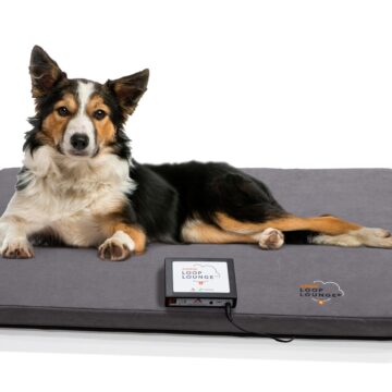 LoopLounge Medium_6892_WithDog_WithBox-7-01-25 (3)